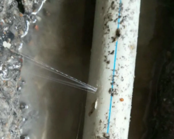 东昌府卫生间测漏水多少钱
