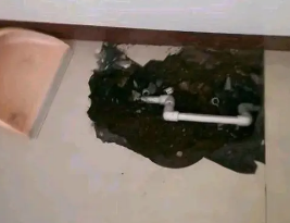 东昌府卫生间测漏水多少钱